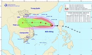 Bão số 8 tiếp tục mạnh lên, di chuyển theo hướng Tây Tây Bắc